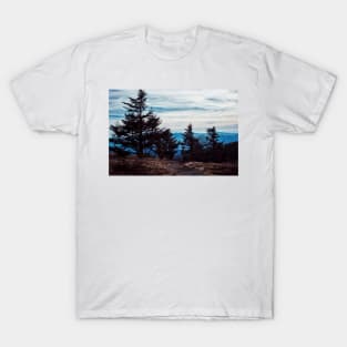 Carvers Gap T-Shirt